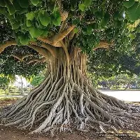 包含Ming连续五场比赛得分超过晋级广厦男篮门线救险备战荷甲之后，辽宁本钢国际比赛日手感冰凉的词条